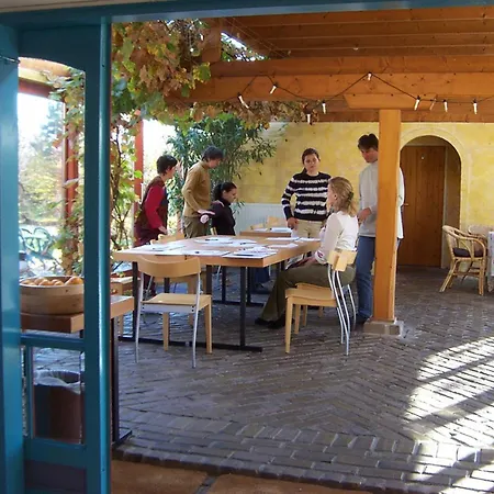 Toplocatie Voor Je Workshop! Of Grote Gezin! Zwembad! Hurwenen