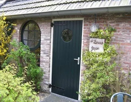 Toplocatie Voor Je Workshop! Of Grote Gezin! Zwembad! Tatil Evi Hurwenen