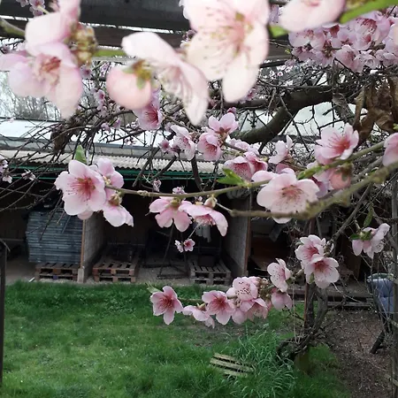 Groepsaccommodatie Met Workshopruimte * Hurwenen