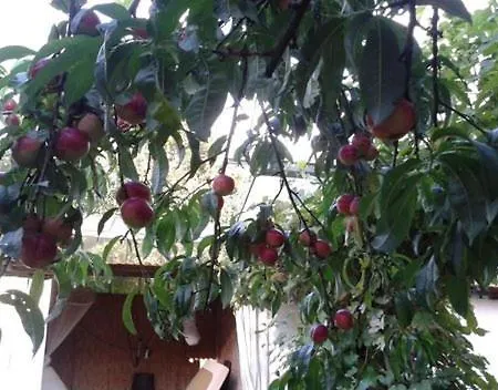 Groepsaccommodatie Met Workshopruimte