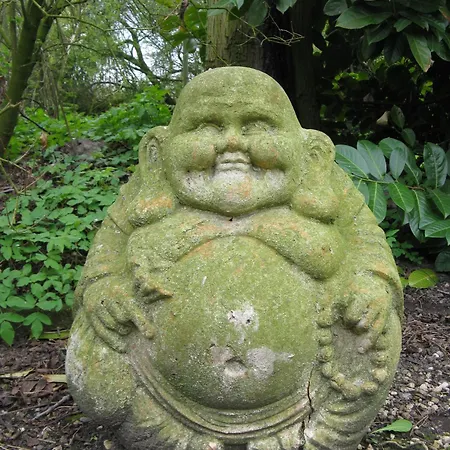 Groepsaccommodatie Met Workshopruimte