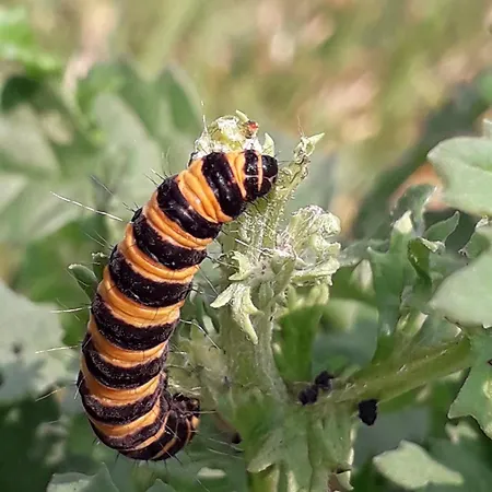 Groepsaccommodatie Met Workshopruimte Holiday home *