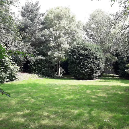 Groepsaccommodatie Met Workshopruimte * Hurwenen