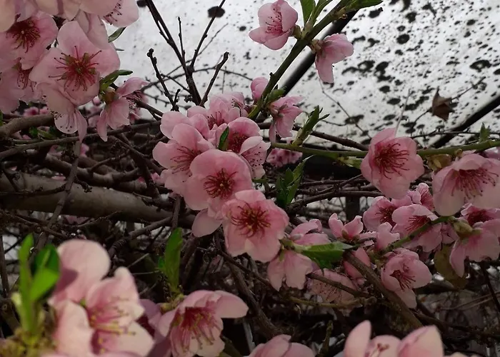 Groepsaccommodatie Met Workshopruimte Holiday home