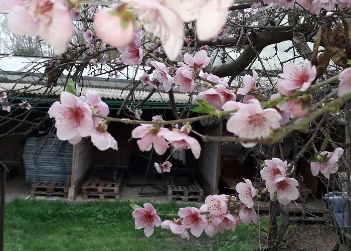 Groepsaccommodatie Met Workshopruimte * Hurwenen