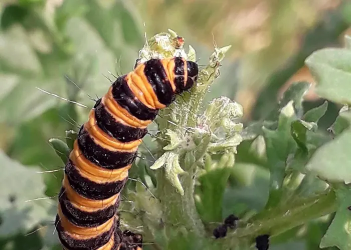 Groepsaccommodatie Met Workshopruimte Holiday home *